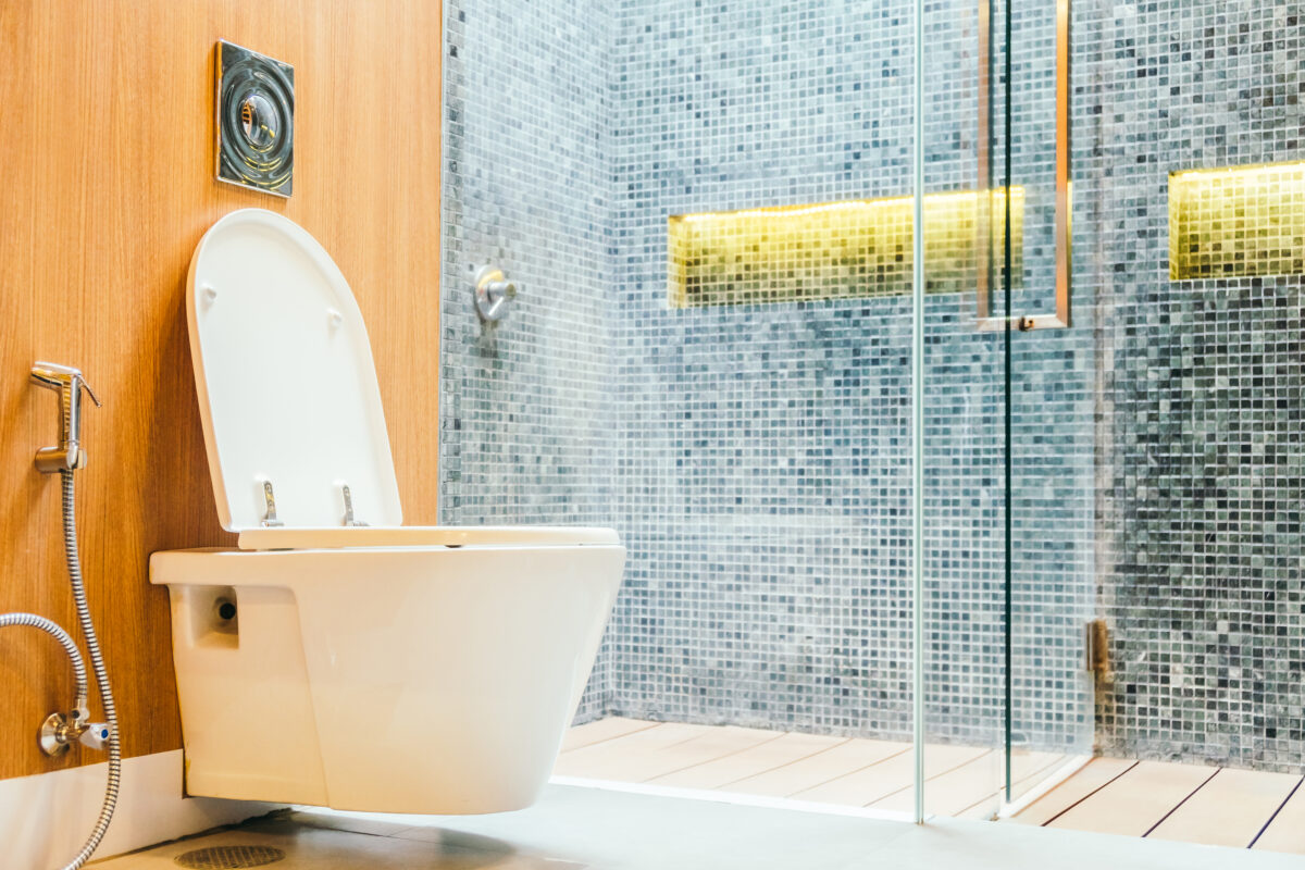 Modern bathroom with wall-mounted toilet and glass shower.